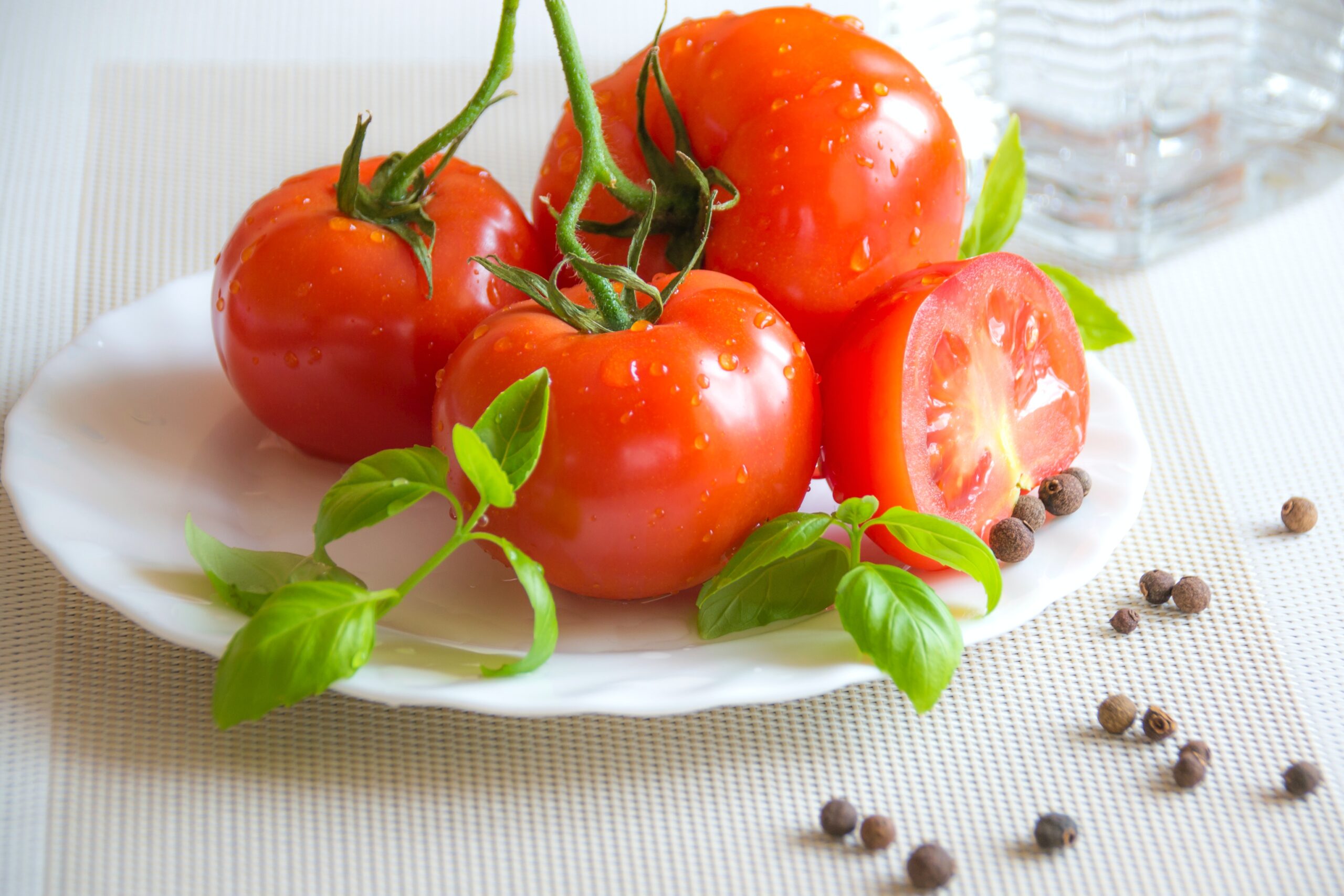 production technology of tomato