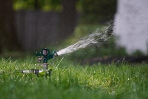 lawn care and management