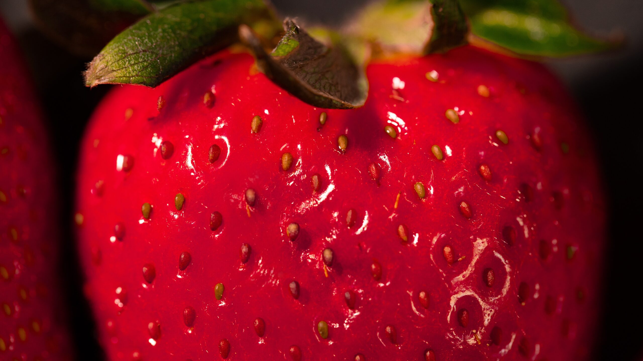 how to harvest strawberry seeds