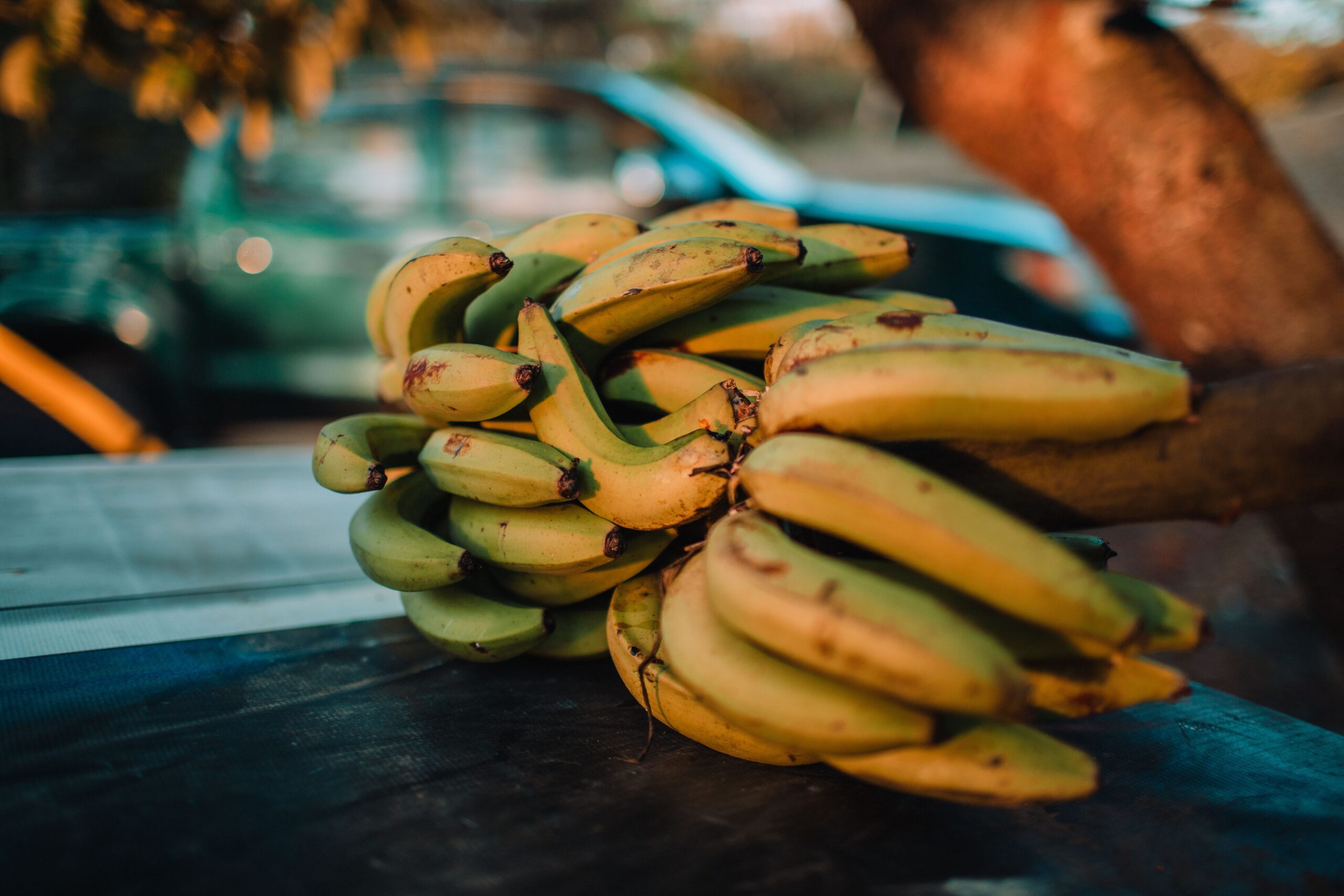 10 Tips of How to Keep Fruit Flies Away From Banana