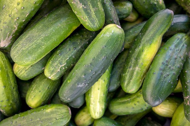 What Causes Cucumbers To Turn Yellow?