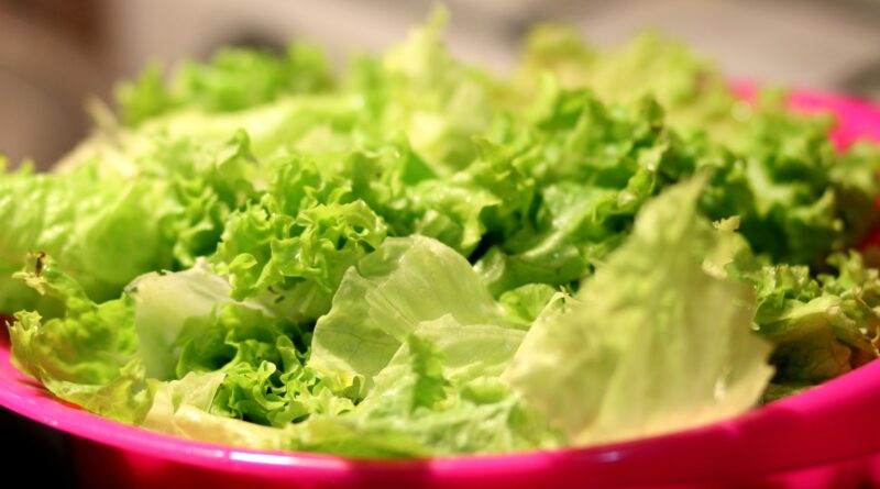 How To Fix Bitter Lettuce?