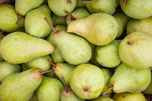 Top 10 Best Types Of European Pear