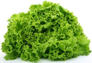 Best Vegetables to Grow in Boise Idaho-lettuce
