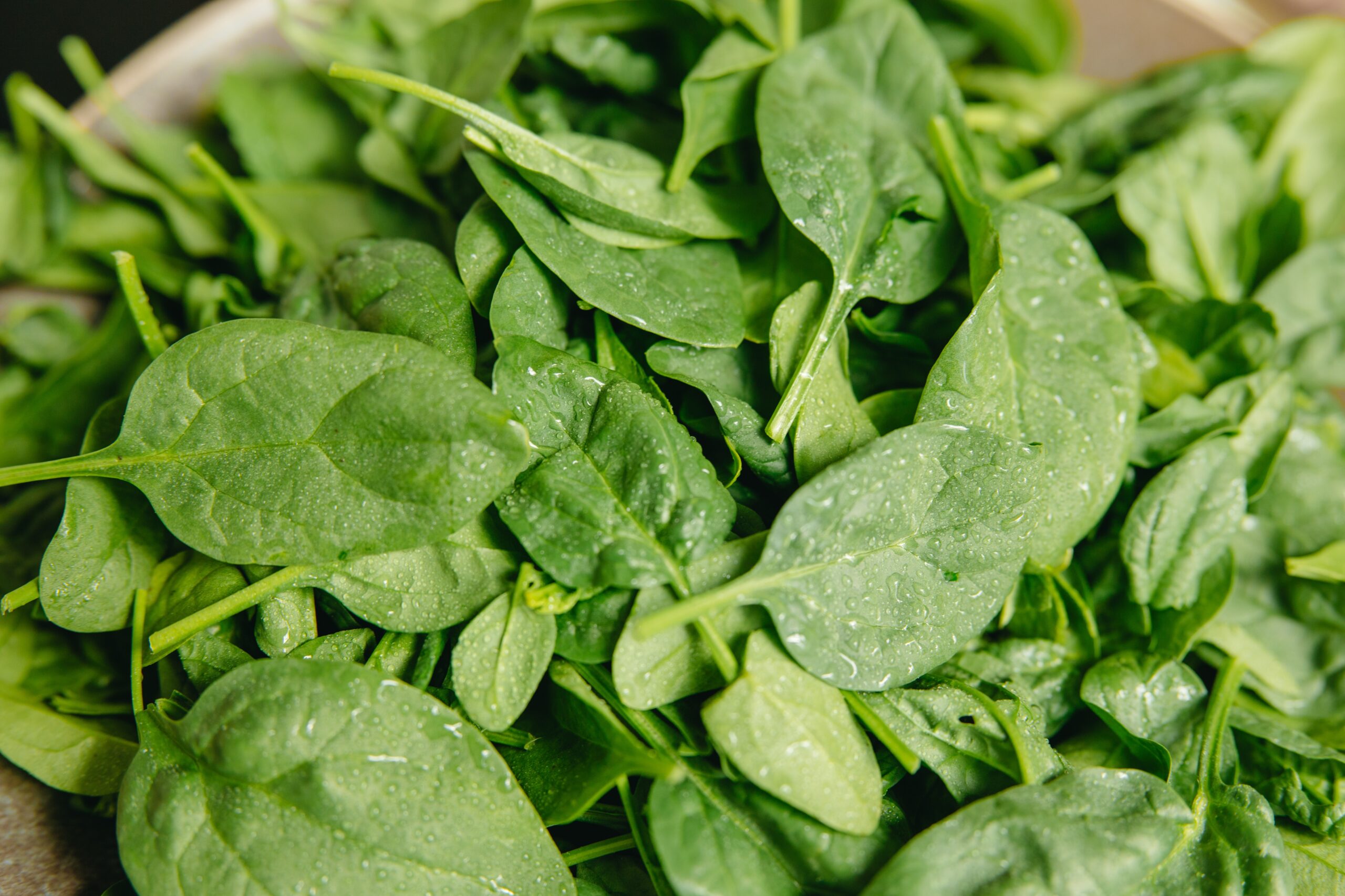 Top Companion Plants For Spinach - Spinach Inter-cropping